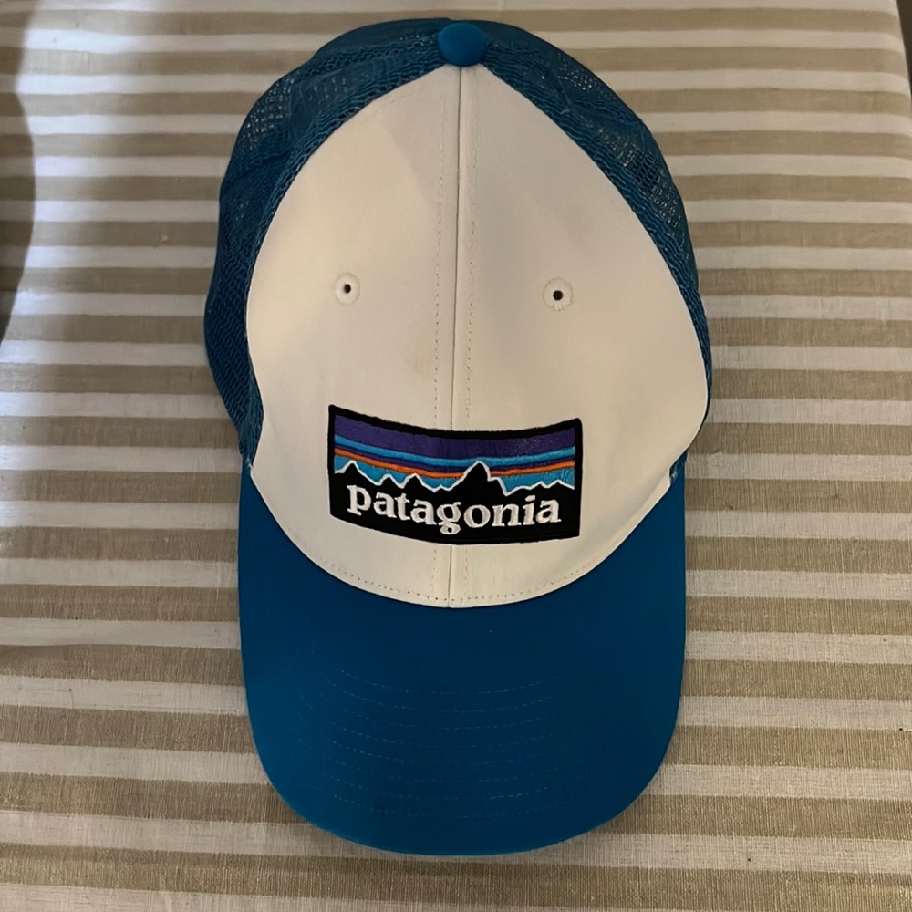 Patagonia Blue and White Trucker Hat